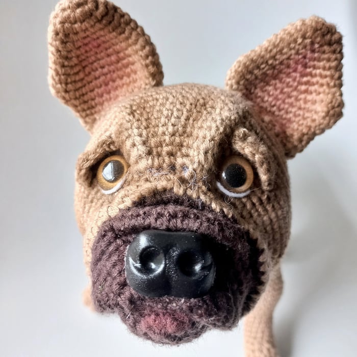 Homenaje a mascota image