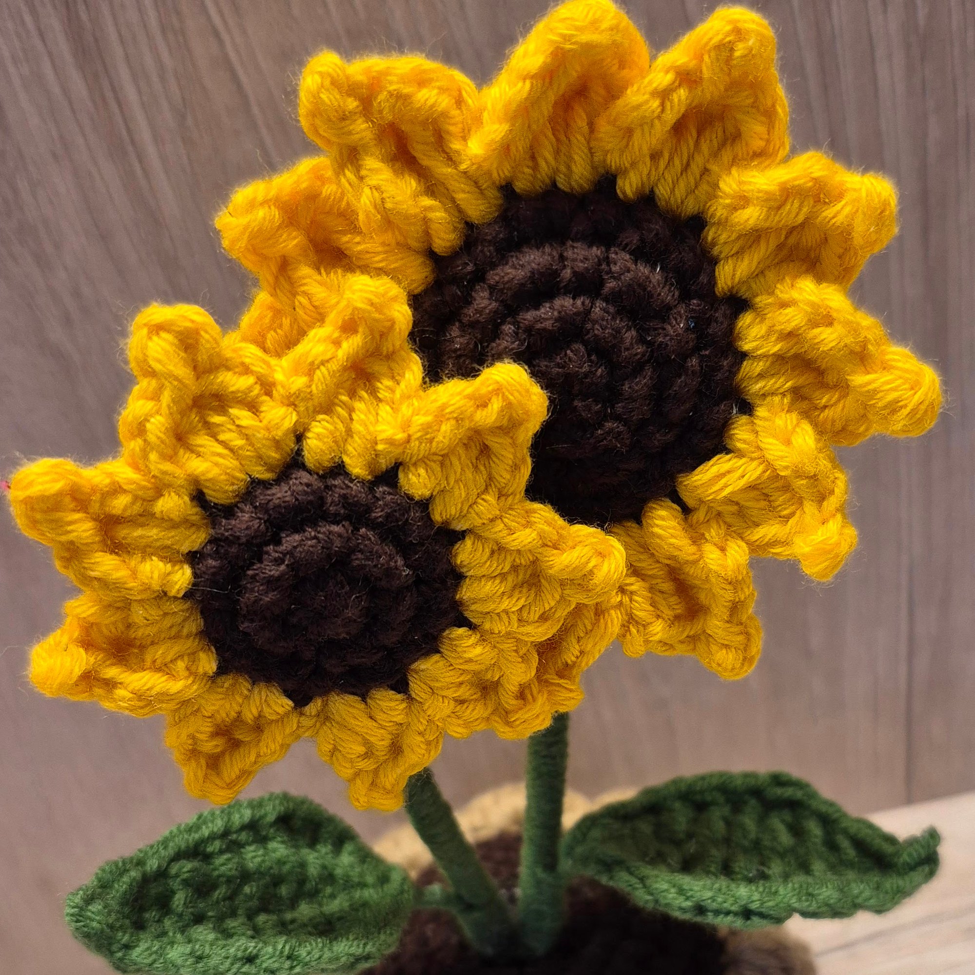 20250426_133336-EDIT