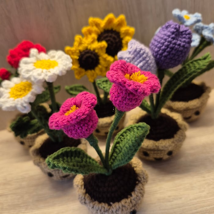 Plantitas felices image