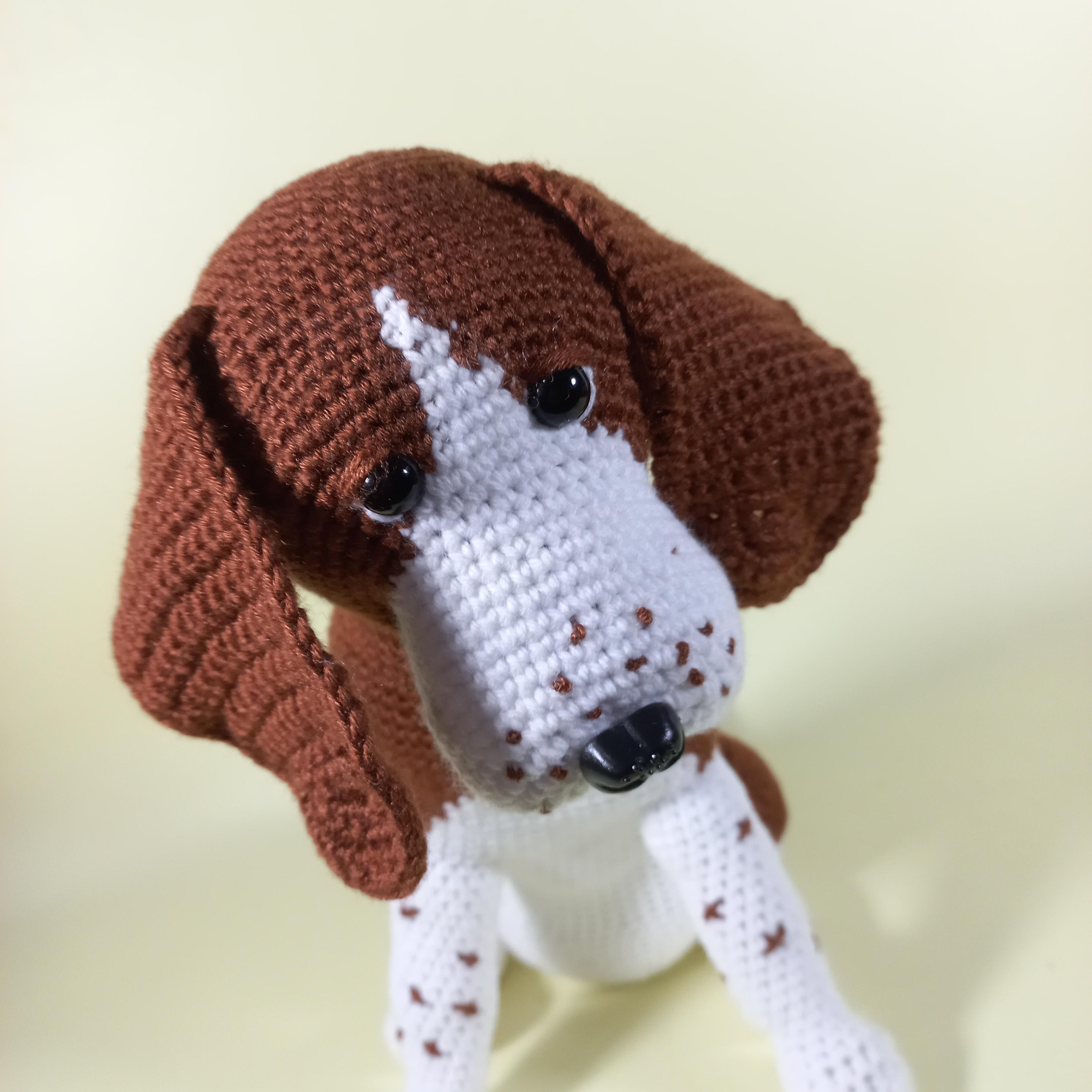 Perro Beagle