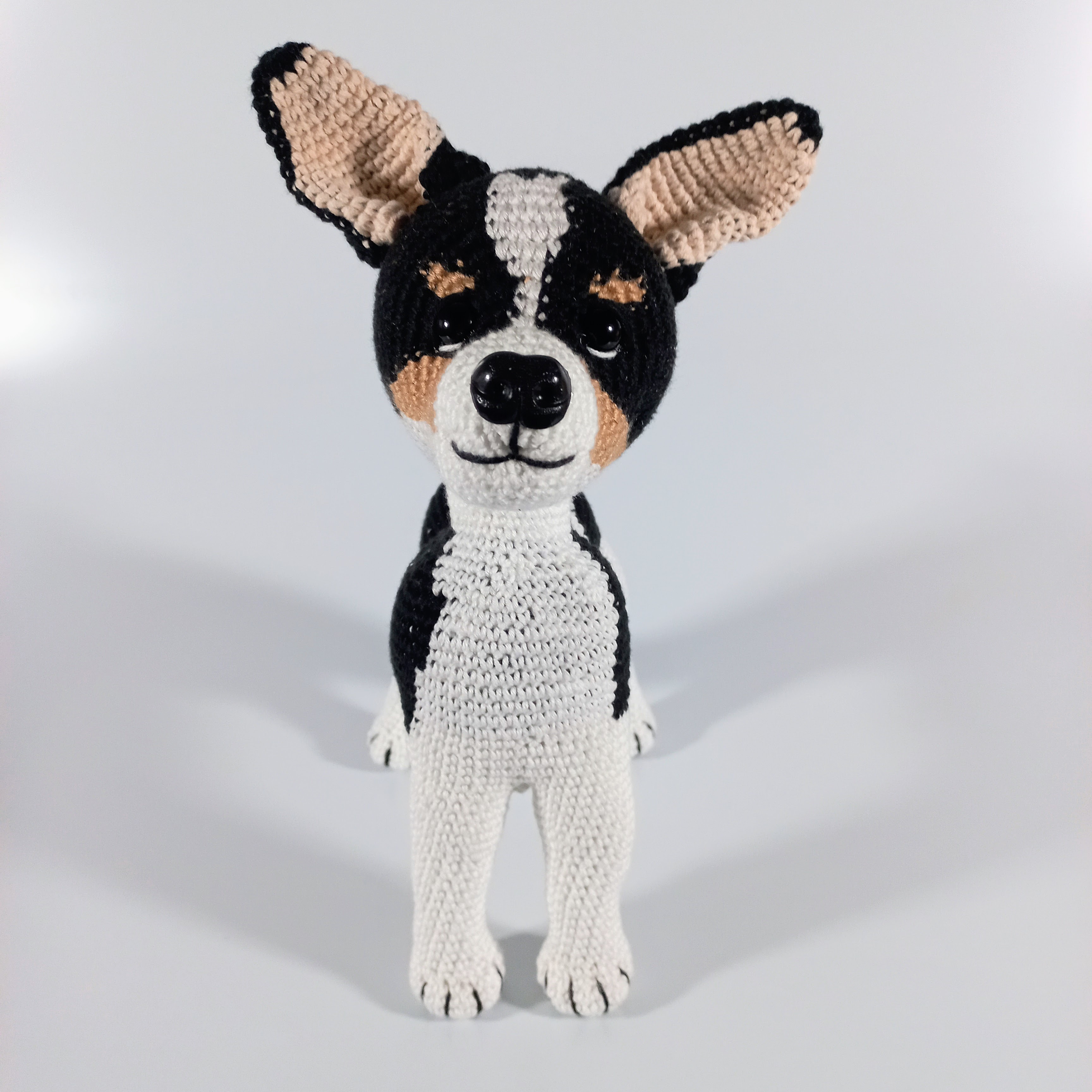 Perro Chihuahua