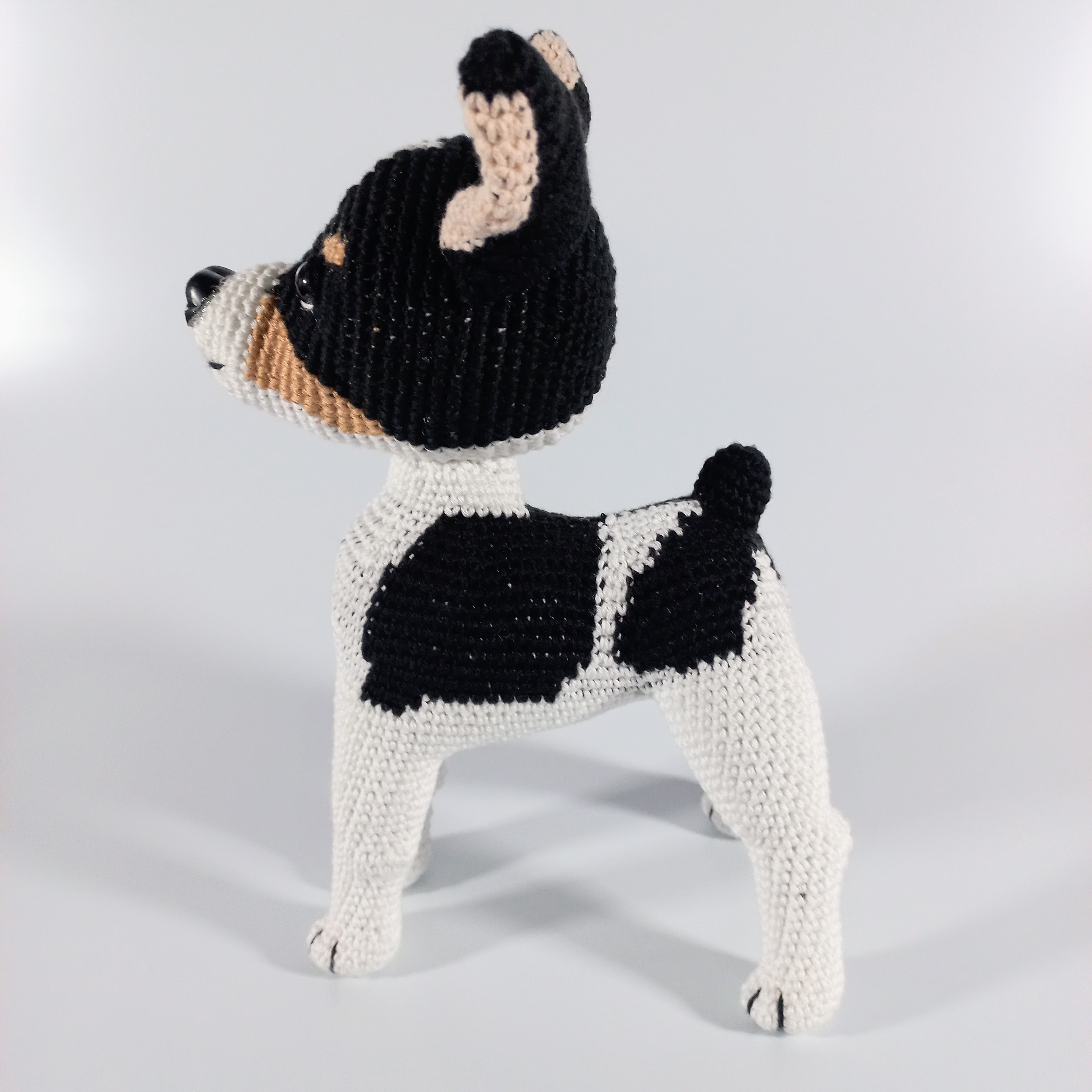 Perro Chihuahua