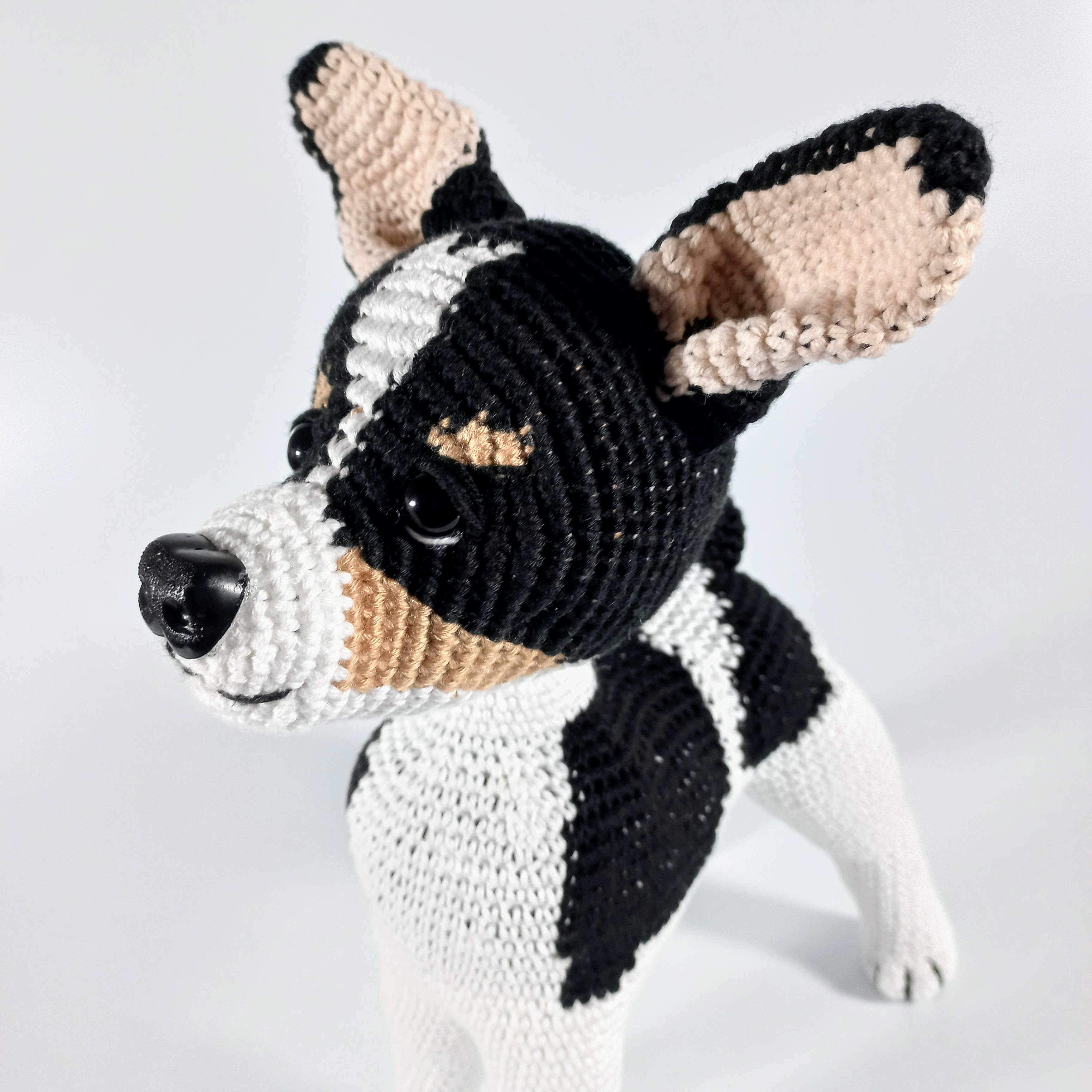 Perro Chihuahua