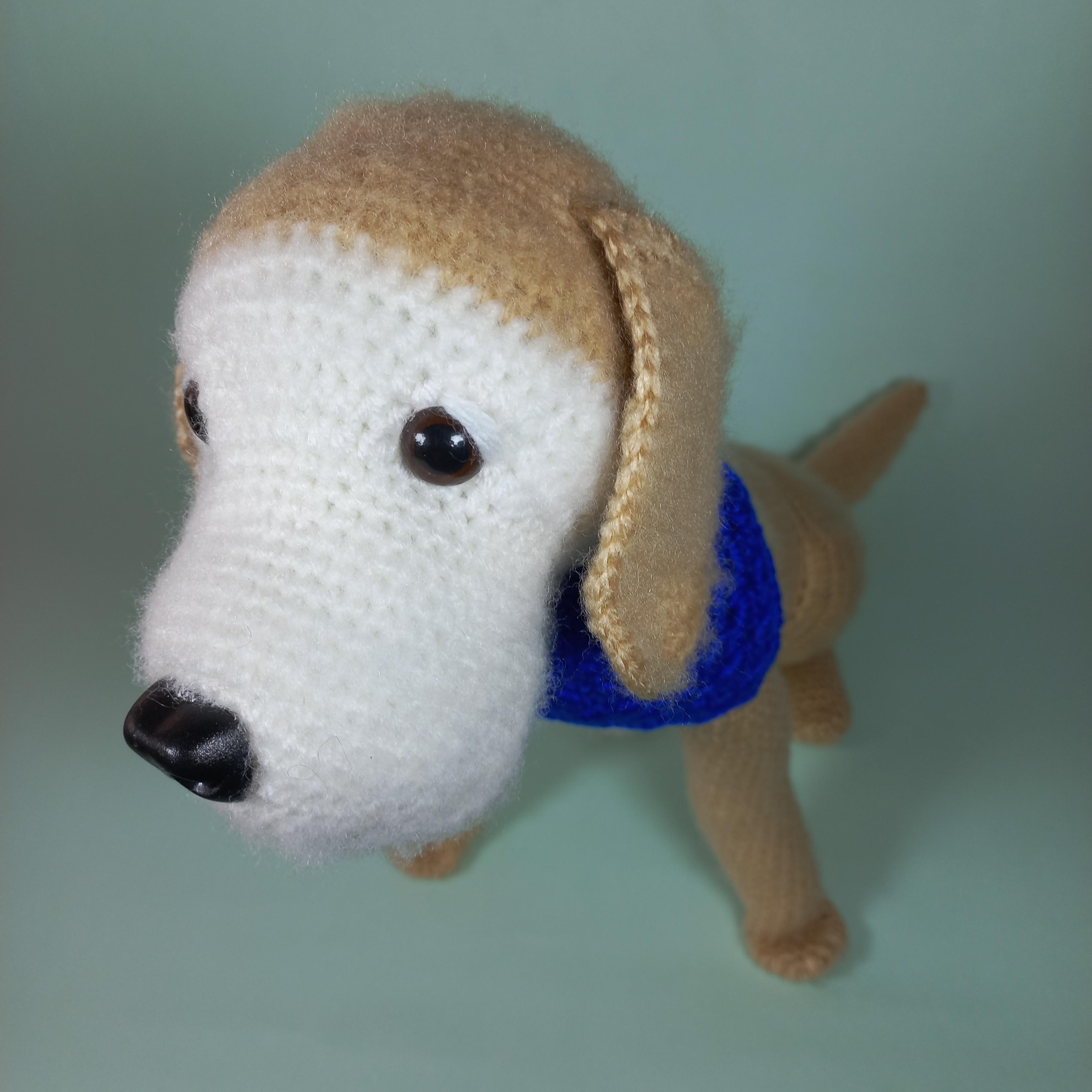 Perro Golden Retriever adulto