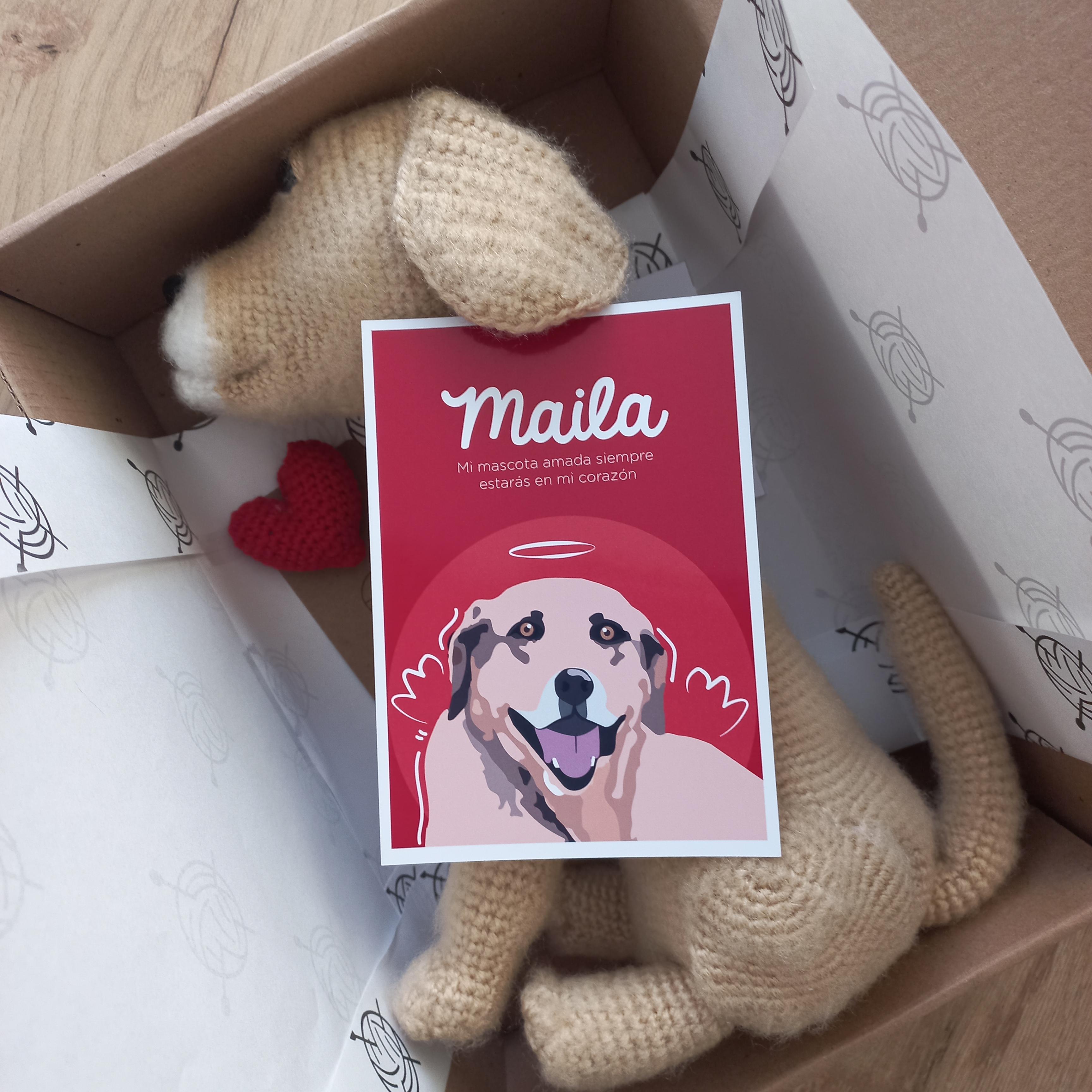 Perro Labrador Adulto