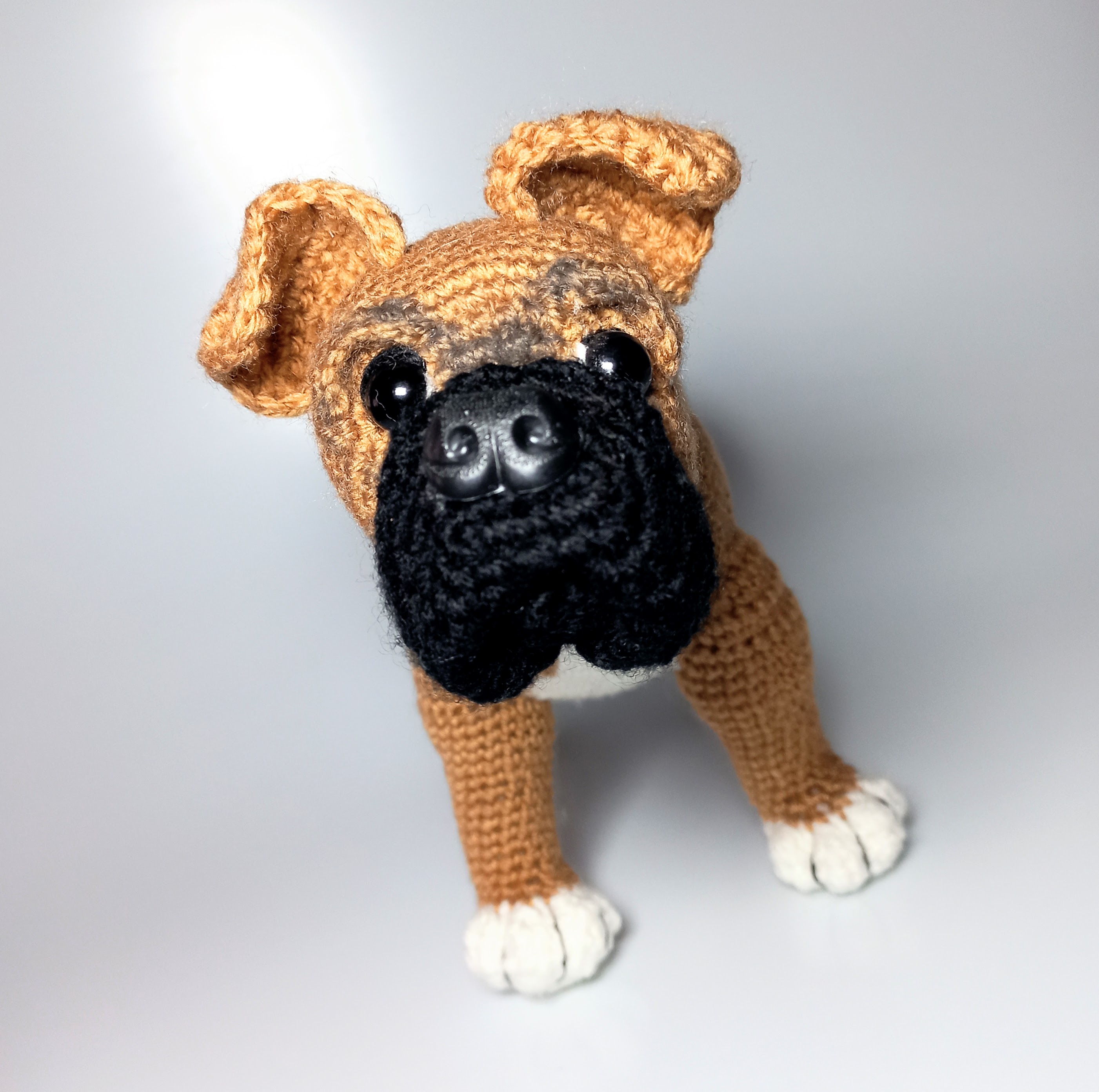 Perro Boxer